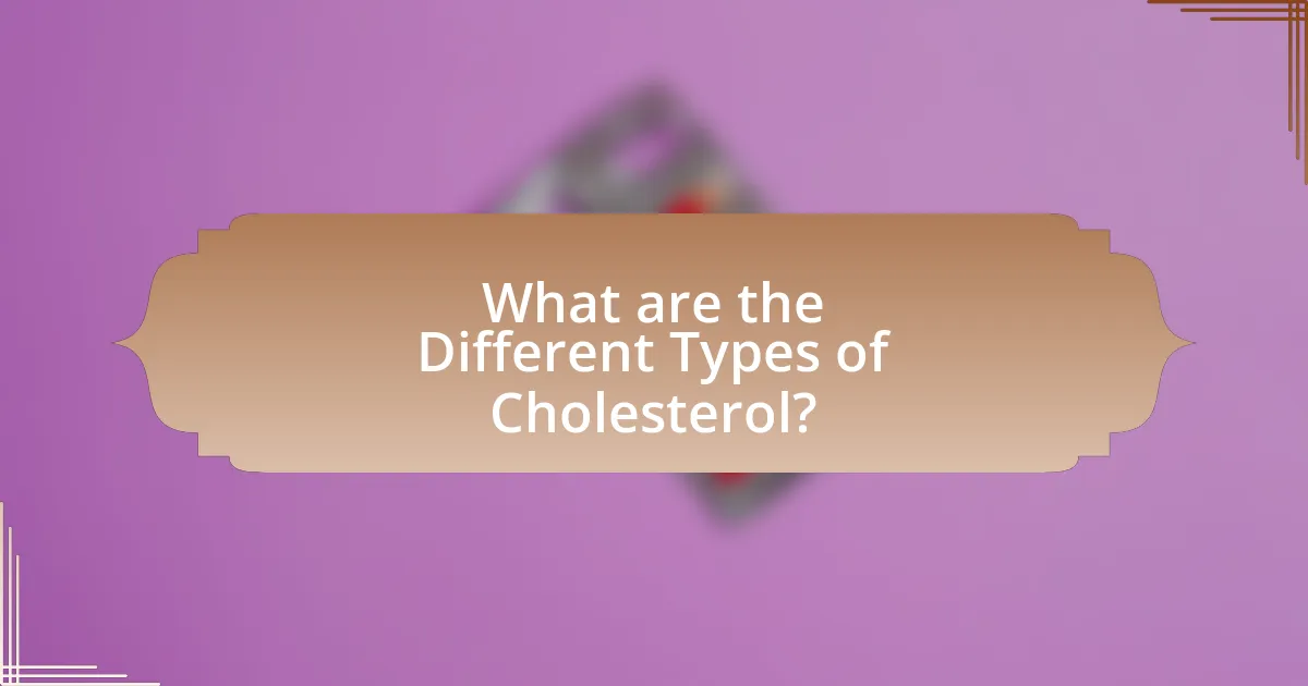 What are the Different Types of Cholesterol?